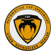 automotive12vspecialist
