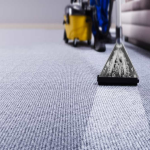 statenislandcarpetcleaning