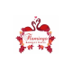 flamingobanquets