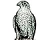 Hawkeyebird1