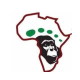 AfricaAdventureVacations