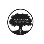 salamanderllc