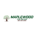 maplewoodtreeservicemn