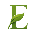 everrahamptons