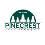 Servicespinecresttree