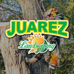 JuarezLandscaping