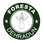 ForestaCafe