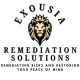ExousiaRemediationSolutions