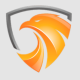 indiadetectiveagency