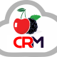 cherryberrycrm