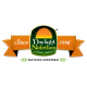 daylightnutrition