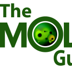 themoldguys