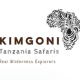 kimgonitanzaniasafaris