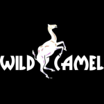 Wildcamel1