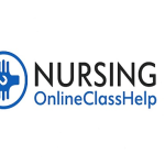 nursingonlineclasshelp