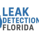 leakdetectionflorida