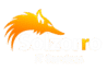 Solzorro IT Services