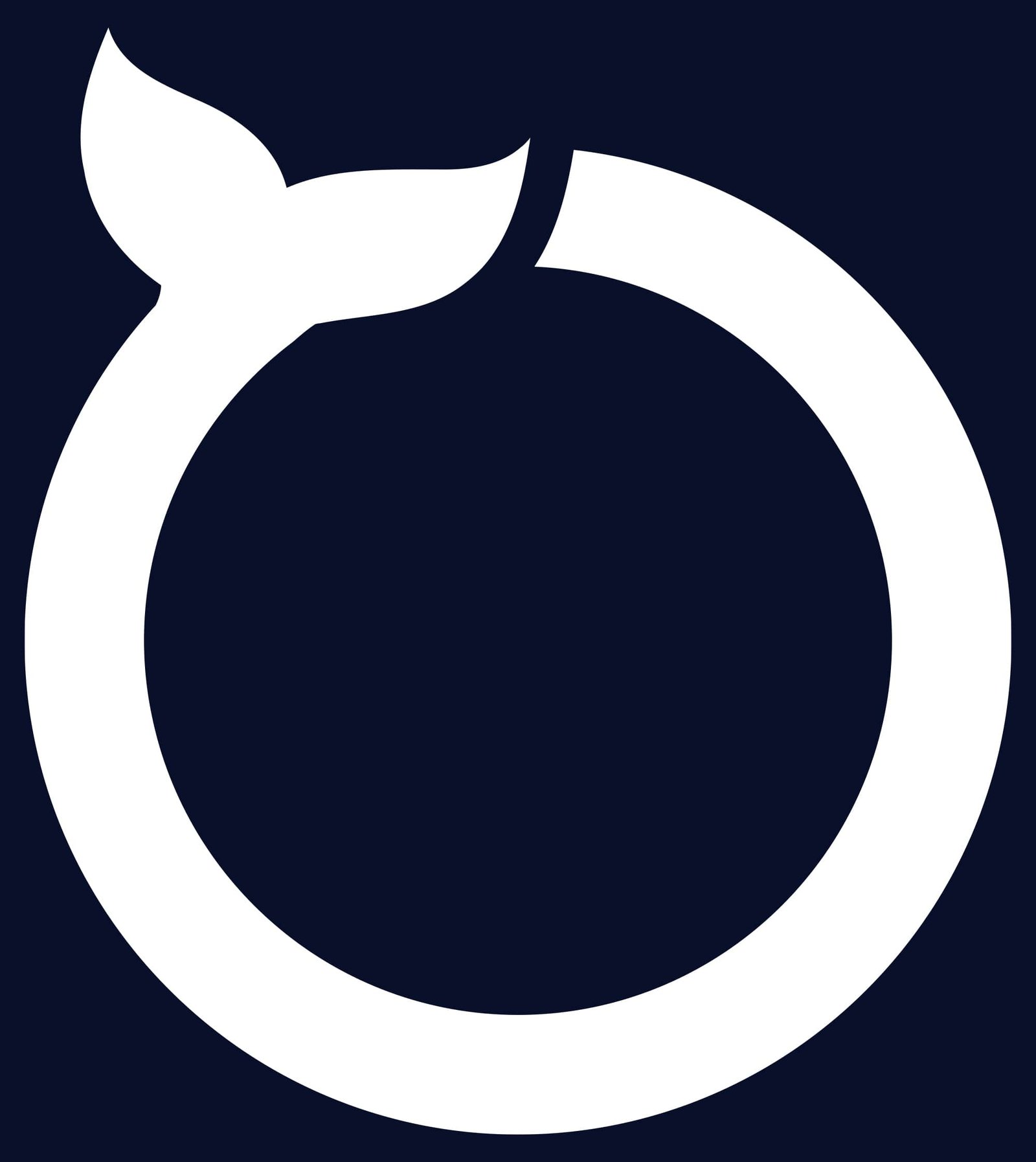 Orca icon