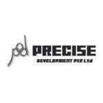 Logo - PRECISE Development