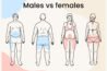 Does Menopause Cause Weight Gain