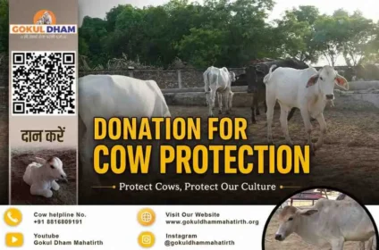 Gau Sewa Donation